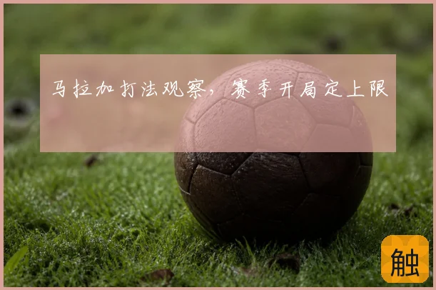 马拉加打法观察，赛季开局定上限