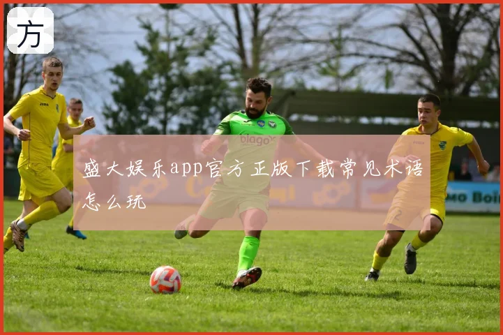 盛大娱乐app官方正版下载常见术语怎么玩
